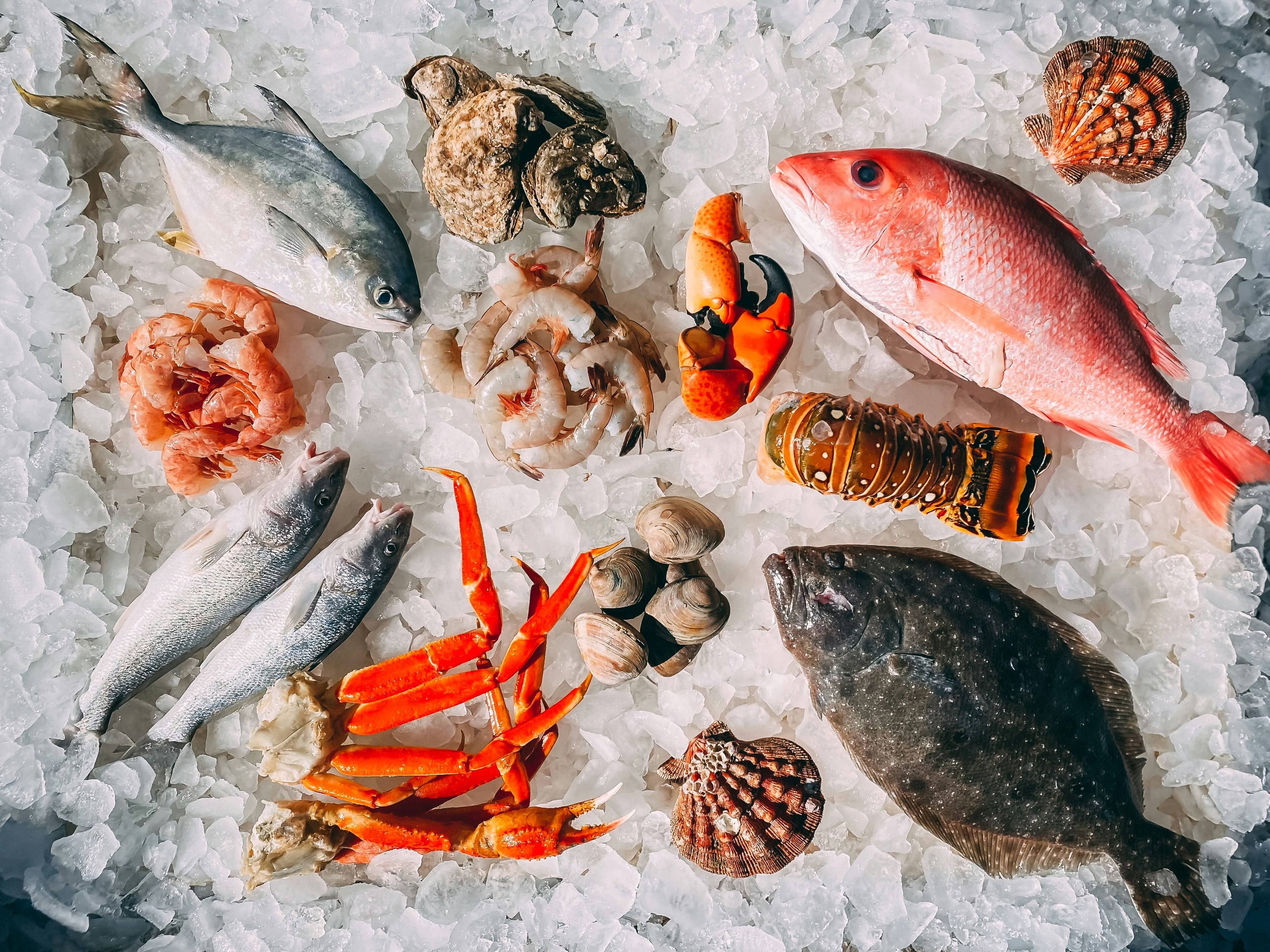 Pescados y mariscos