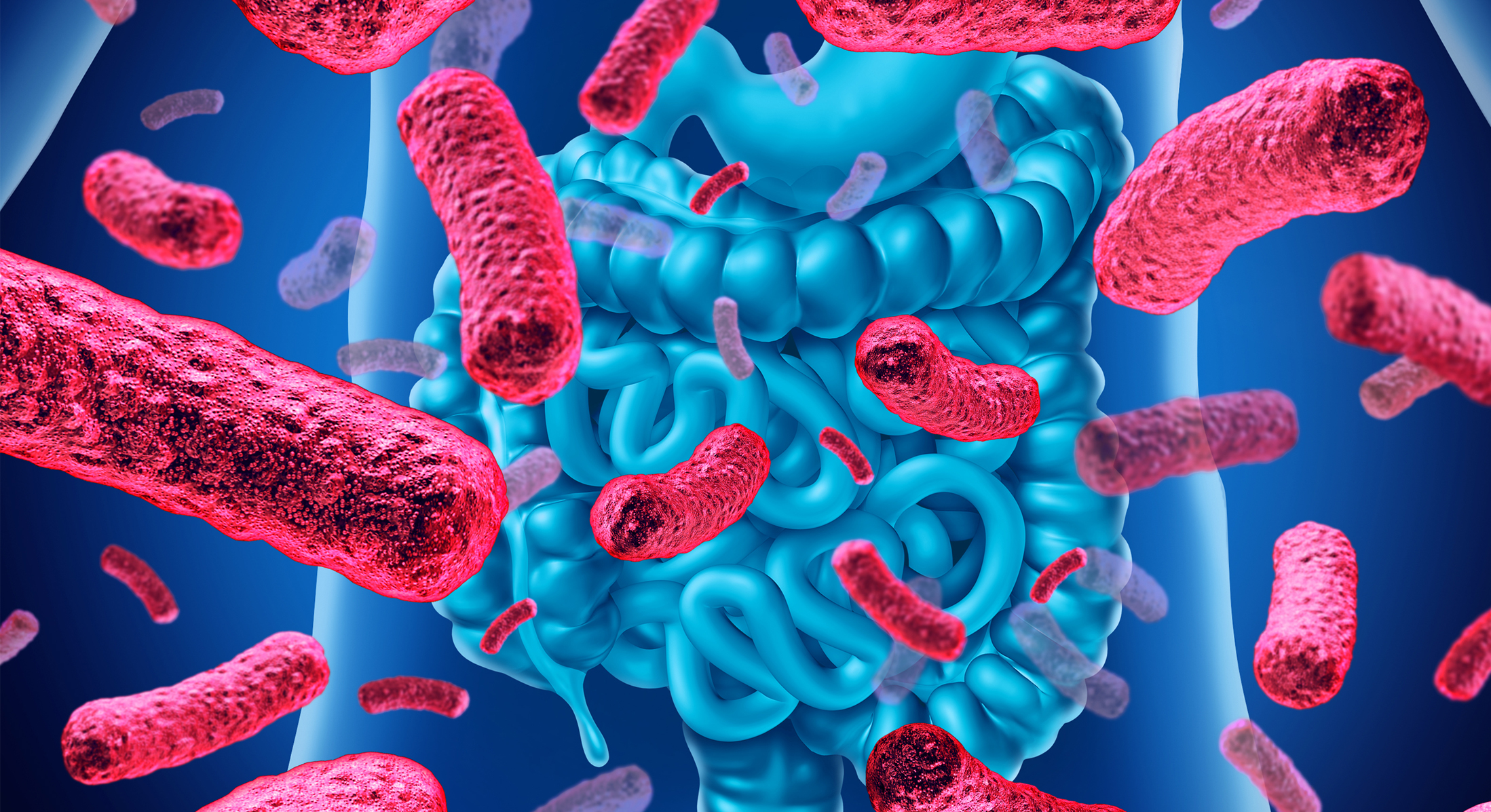 Probioticos flora intestinal